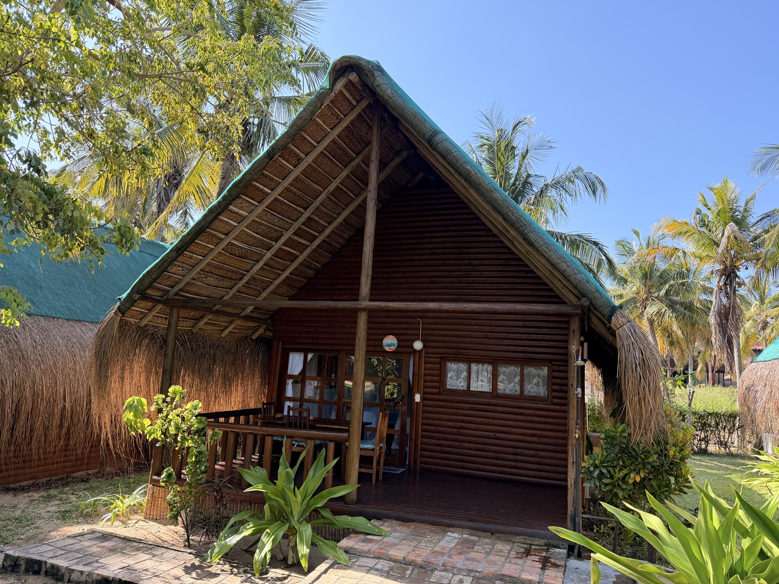 Casitas beneath palm trees